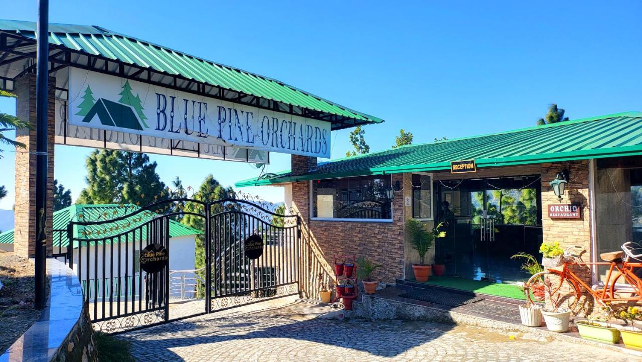 Blue Pine Orchards - Villas Lansdowne Kültér fotó